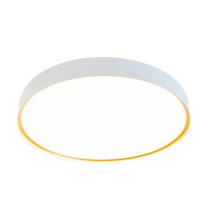 PET1PL01BR10-1--1-