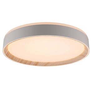 CHA1PS01MD040--4-